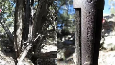 Photo of 1882 Winchester Rifle Mystery