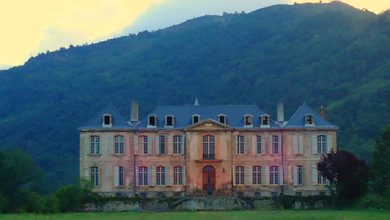 Photo of Australian couple Bought a decaying Neoclassical French Chateau and started blogging the restoration process …