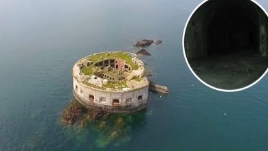 Photo of Look inside this bizarre abandoned fort for Sale off the Welsh coast