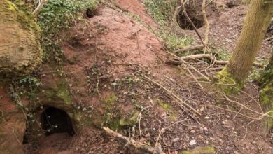 Photo of Rabbit hole leads to a secret 700-year-old knights templar cave network