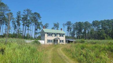 Photo of Deal of the Day! Almost 10 acres near the waterfront in Virginia. $149,900