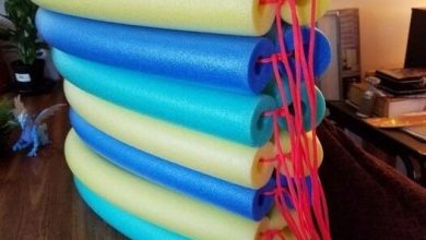 Photo of You might want to drop by the Dollar Store for 7 pool noodles when you see what this woman made for her grandson!