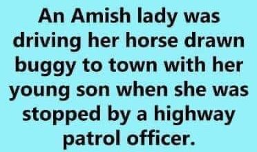 Photo of An Amish Lady Driving Her Horse-Drawn Buggy Is Pulled Over By The