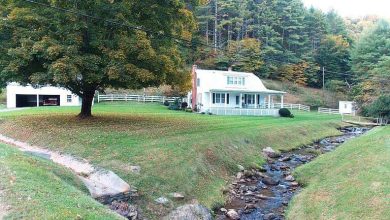 Photo of Has a little waterfall! 11 acres in Virginia. $249,900!