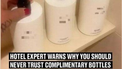 Photo of Hotel expert warns why you should never trust complimentary bottles of shampoo and shower gel