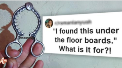 Photo of People Wondered about the Purpose of These 6 Things & Got Unexpected Answers