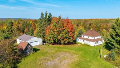 Photo of Picturesque setting! Multiple outbuildings. 10 acres in Michigan. $229,000