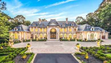 Photo of 24,000 Sq. Ft. Château de Lumière Designed & Built by The Building Group in Great Falls, Virginia