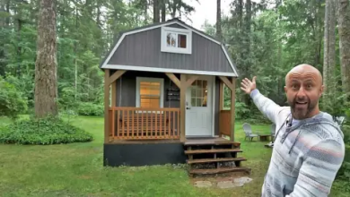 Photo of Man buys a shed, converts it into a luxury tiny home, and now rents it out for passive income