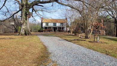 Photo of Another pretty setting! Five acres in Virginia. $325,000